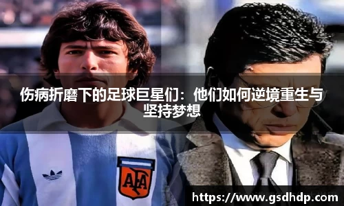 mgty芒果体育