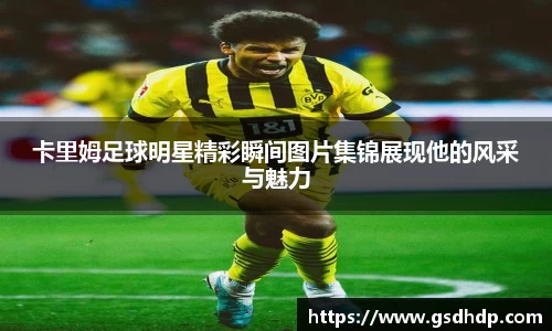 芒果体育官方网站